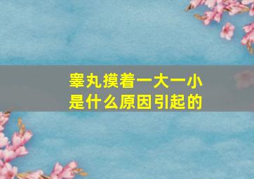 睾丸摸着一大一小是什么原因引起的