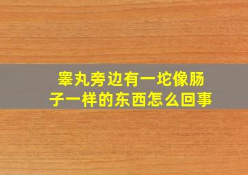 睾丸旁边有一坨像肠子一样的东西怎么回事