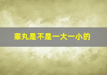 睾丸是不是一大一小的