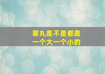 睾丸是不是都是一个大一个小的