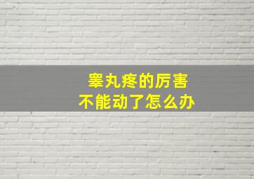 睾丸疼的厉害不能动了怎么办