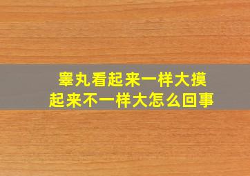 睾丸看起来一样大摸起来不一样大怎么回事