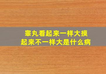 睾丸看起来一样大摸起来不一样大是什么病