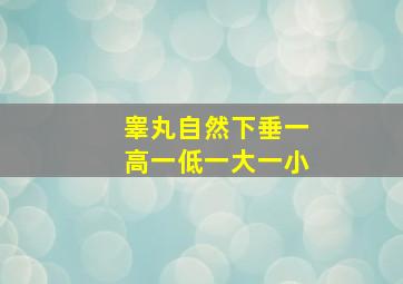 睾丸自然下垂一高一低一大一小