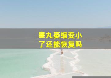 睾丸萎缩变小了还能恢复吗