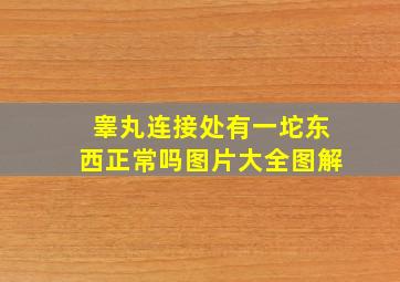 睾丸连接处有一坨东西正常吗图片大全图解