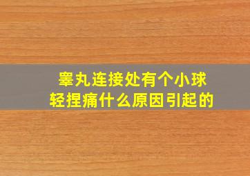 睾丸连接处有个小球轻捏痛什么原因引起的