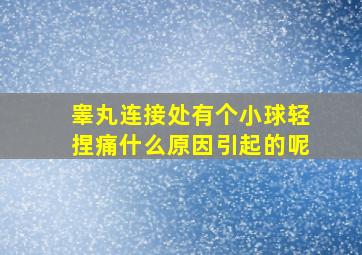 睾丸连接处有个小球轻捏痛什么原因引起的呢