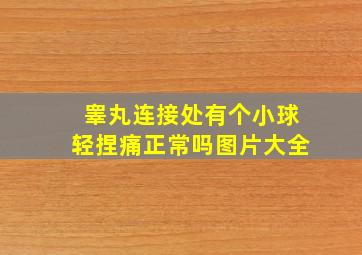 睾丸连接处有个小球轻捏痛正常吗图片大全