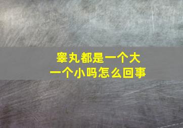 睾丸都是一个大一个小吗怎么回事