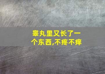 睾丸里又长了一个东西,不疼不痒