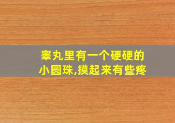 睾丸里有一个硬硬的小圆珠,摸起来有些疼