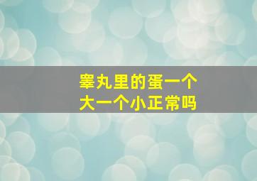 睾丸里的蛋一个大一个小正常吗