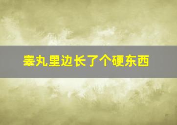 睾丸里边长了个硬东西