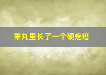 睾丸里长了一个硬疙瘩