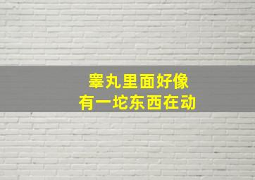 睾丸里面好像有一坨东西在动