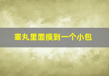 睾丸里面摸到一个小包