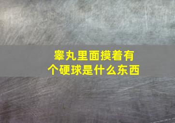 睾丸里面摸着有个硬球是什么东西