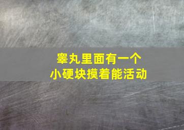 睾丸里面有一个小硬块摸着能活动