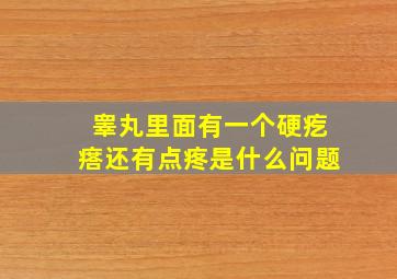 睾丸里面有一个硬疙瘩还有点疼是什么问题