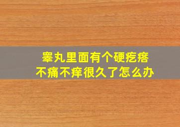 睾丸里面有个硬疙瘩不痛不痒很久了怎么办