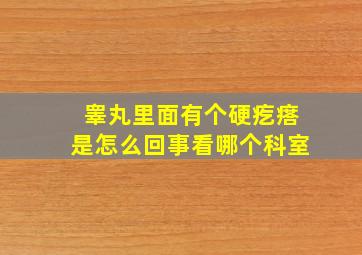 睾丸里面有个硬疙瘩是怎么回事看哪个科室