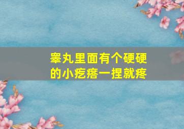 睾丸里面有个硬硬的小疙瘩一捏就疼