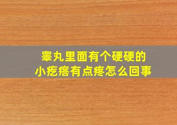 睾丸里面有个硬硬的小疙瘩有点疼怎么回事