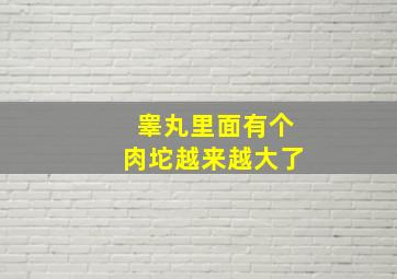 睾丸里面有个肉坨越来越大了