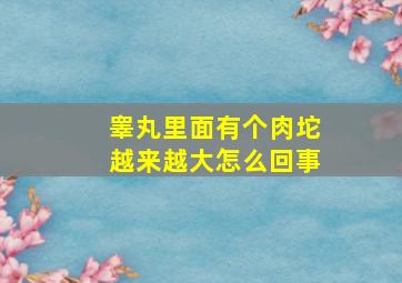 睾丸里面有个肉坨越来越大怎么回事