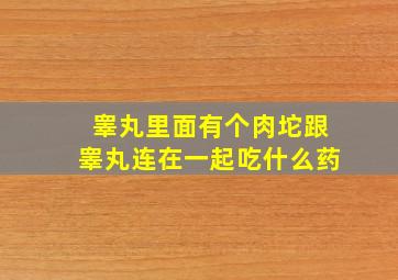 睾丸里面有个肉坨跟睾丸连在一起吃什么药