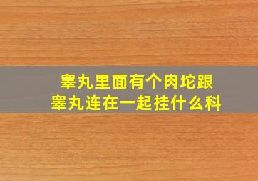 睾丸里面有个肉坨跟睾丸连在一起挂什么科