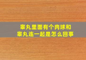 睾丸里面有个肉球和睾丸连一起是怎么回事