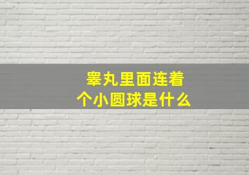 睾丸里面连着个小圆球是什么