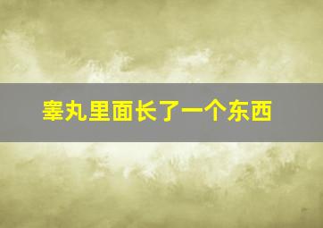 睾丸里面长了一个东西