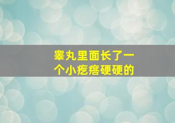 睾丸里面长了一个小疙瘩硬硬的