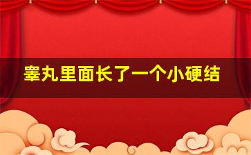 睾丸里面长了一个小硬结