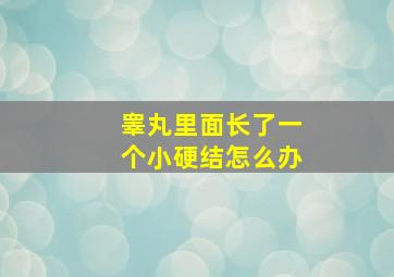 睾丸里面长了一个小硬结怎么办