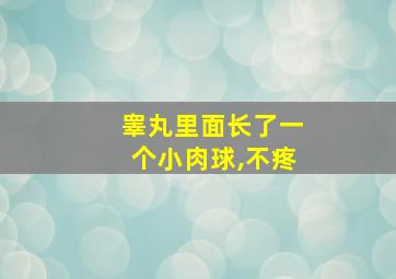 睾丸里面长了一个小肉球,不疼