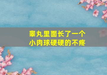 睾丸里面长了一个小肉球硬硬的不疼