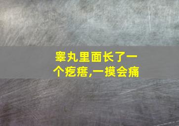 睾丸里面长了一个疙瘩,一摸会痛