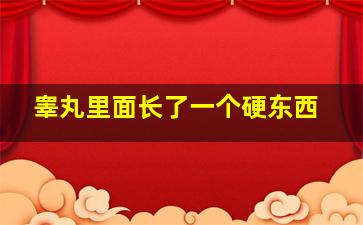 睾丸里面长了一个硬东西