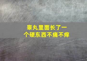 睾丸里面长了一个硬东西不痛不痒