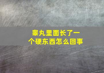 睾丸里面长了一个硬东西怎么回事