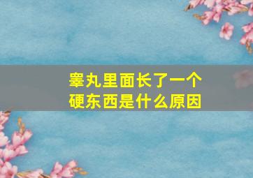 睾丸里面长了一个硬东西是什么原因