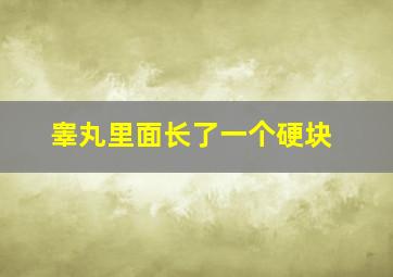 睾丸里面长了一个硬块