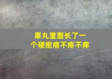 睾丸里面长了一个硬疙瘩不疼不痒