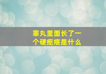 睾丸里面长了一个硬疙瘩是什么