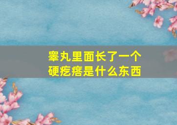 睾丸里面长了一个硬疙瘩是什么东西