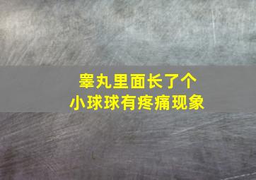 睾丸里面长了个小球球有疼痛现象